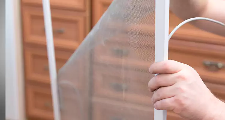 Privacy Mesh Screen Door Installation in Boca Raton, FL